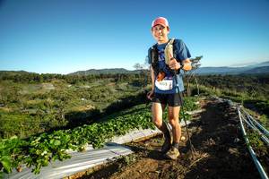 BIB: 9032
                            <button type="button" onclick="openModal(19111215)" class="btn btn-primary btn-sm float-right btn-popup" data-toggle="modal" data-target=".modal-high-quality">
                        <i class="fas fa-shopping-cart"></i> Add to Cart
                    </button>
                                            <button type="button" onclick="isThisMe(19111215, true)" class="btn btn-success btn-sm float-right btn-popup btn-isme hidden" data-toggle="tooltip" data-placement="bottom" title="นี่คือรูปของคุณใช่ไหม คลิกที่นี่เพื่อเอาเข้าอัลบั้ม">
                        <i class="fas fa-plus"></i> Add to album
                    </button>
                    <button type="button" onclick="isThisMe(19111215, false)" class="btn btn-warning btn-sm float-right btn-popup btn-isnotme hidden">
                        <i class="fas fa-ban"></i> Remove from album
                    </button>